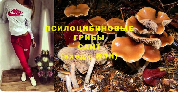 гидропоника Алексин