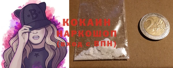 молекула духа Покачи