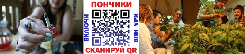 Канабис ГИДРОПОН  Томмот 